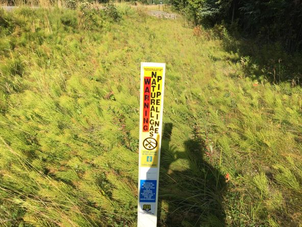 63767 Oil Well Rd, Ninilchik, AK 99639